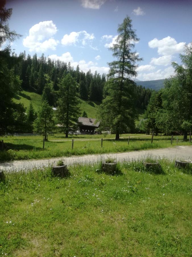 Ferienwohnung Bergblick Sirnitz Exterior foto